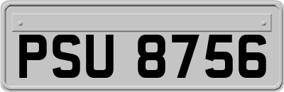 PSU8756