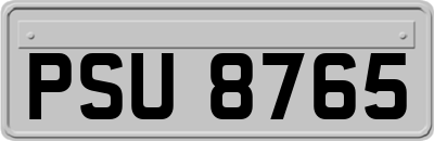 PSU8765