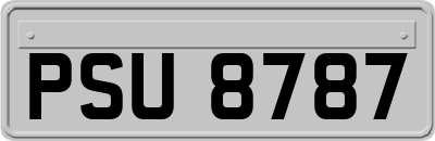 PSU8787