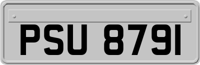 PSU8791