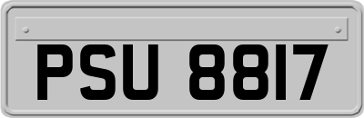 PSU8817