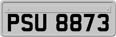 PSU8873