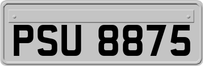 PSU8875