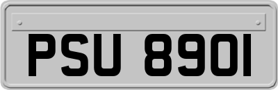 PSU8901