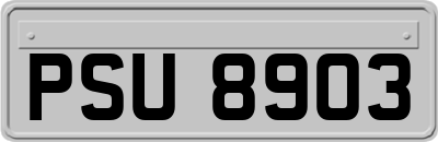 PSU8903