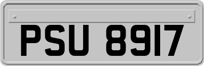 PSU8917