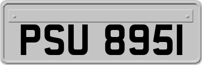 PSU8951