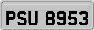 PSU8953