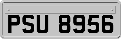 PSU8956