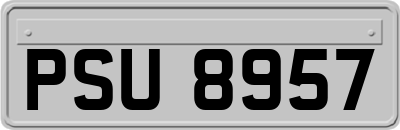 PSU8957