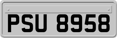 PSU8958