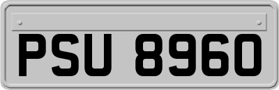 PSU8960
