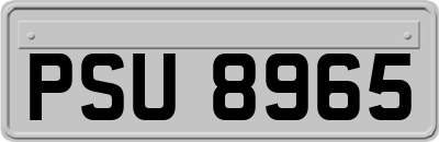 PSU8965