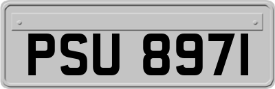 PSU8971