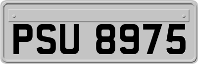 PSU8975