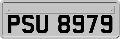PSU8979