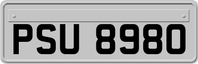 PSU8980
