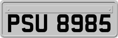 PSU8985