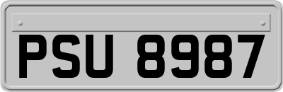 PSU8987
