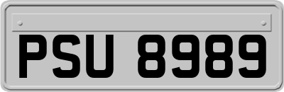 PSU8989