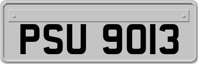 PSU9013