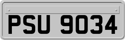 PSU9034