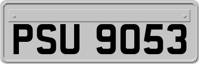 PSU9053
