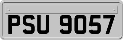 PSU9057