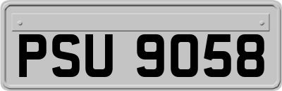 PSU9058