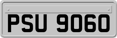 PSU9060