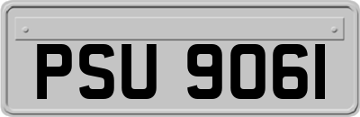 PSU9061