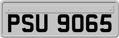 PSU9065
