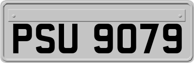 PSU9079
