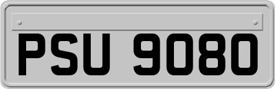 PSU9080