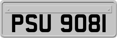 PSU9081