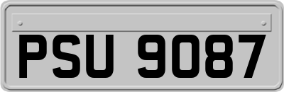 PSU9087