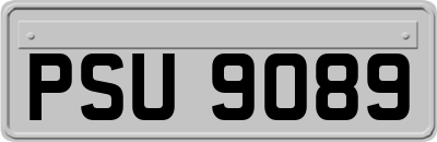 PSU9089