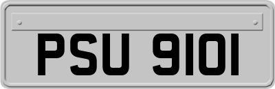 PSU9101