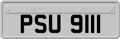 PSU9111