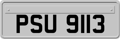 PSU9113
