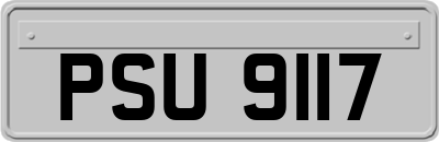 PSU9117
