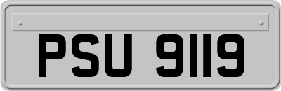 PSU9119