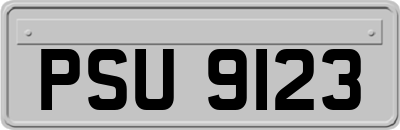 PSU9123