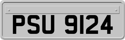 PSU9124
