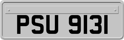 PSU9131