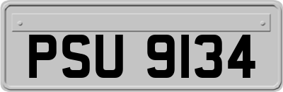 PSU9134