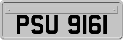 PSU9161