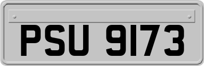 PSU9173