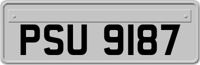 PSU9187