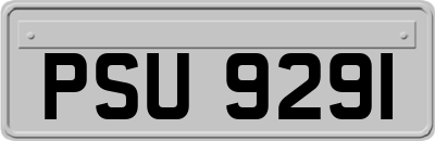 PSU9291